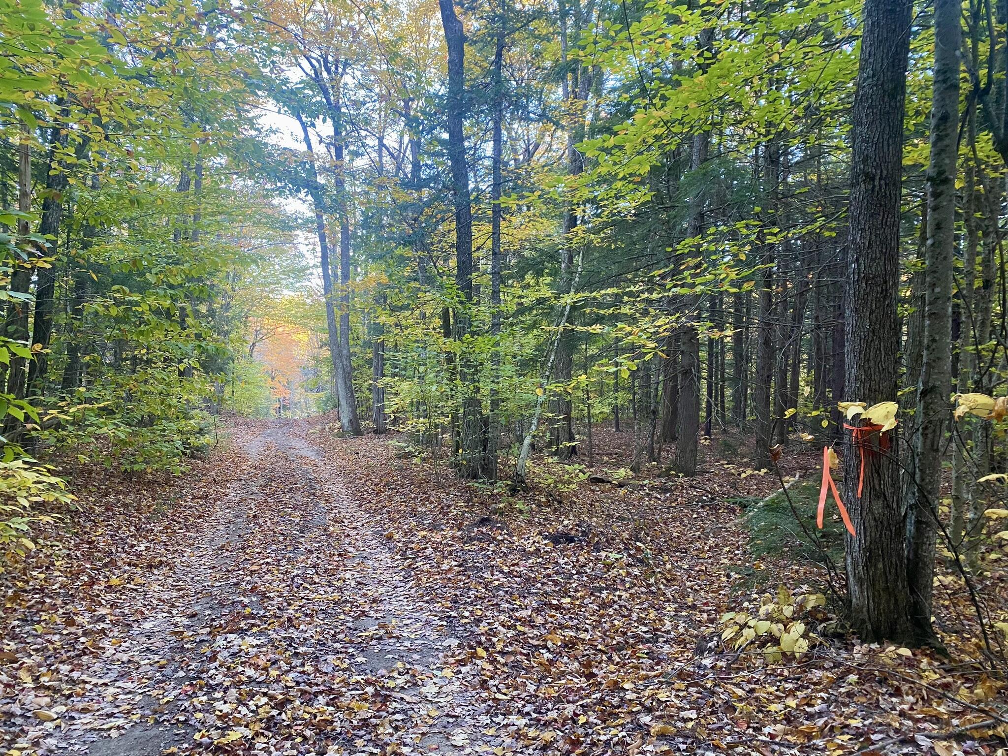 2-4 Willis Bean Road Center Conway, NH 03813 - Photo 63 of 63 IMG_9076