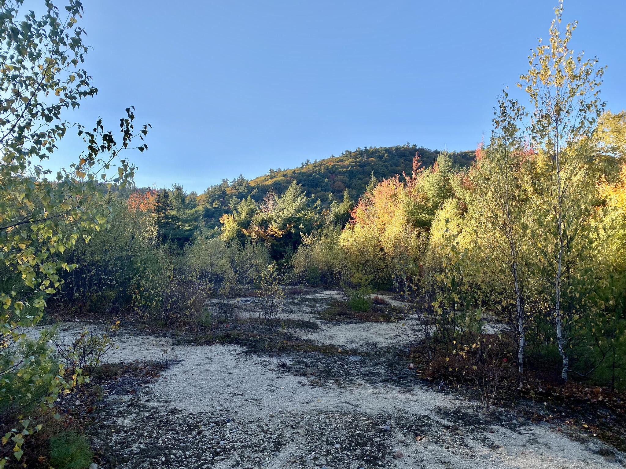 2-4 Willis Bean Road Center Conway, NH 03813 - Photo 9 of 63 IMG_9068
