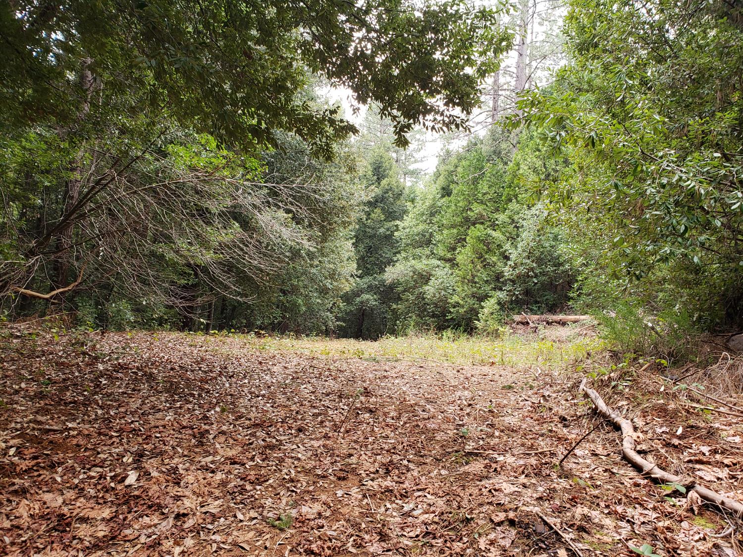 10012 La Porte Road Challenge, CA 95925 - Photo 2 of 12
