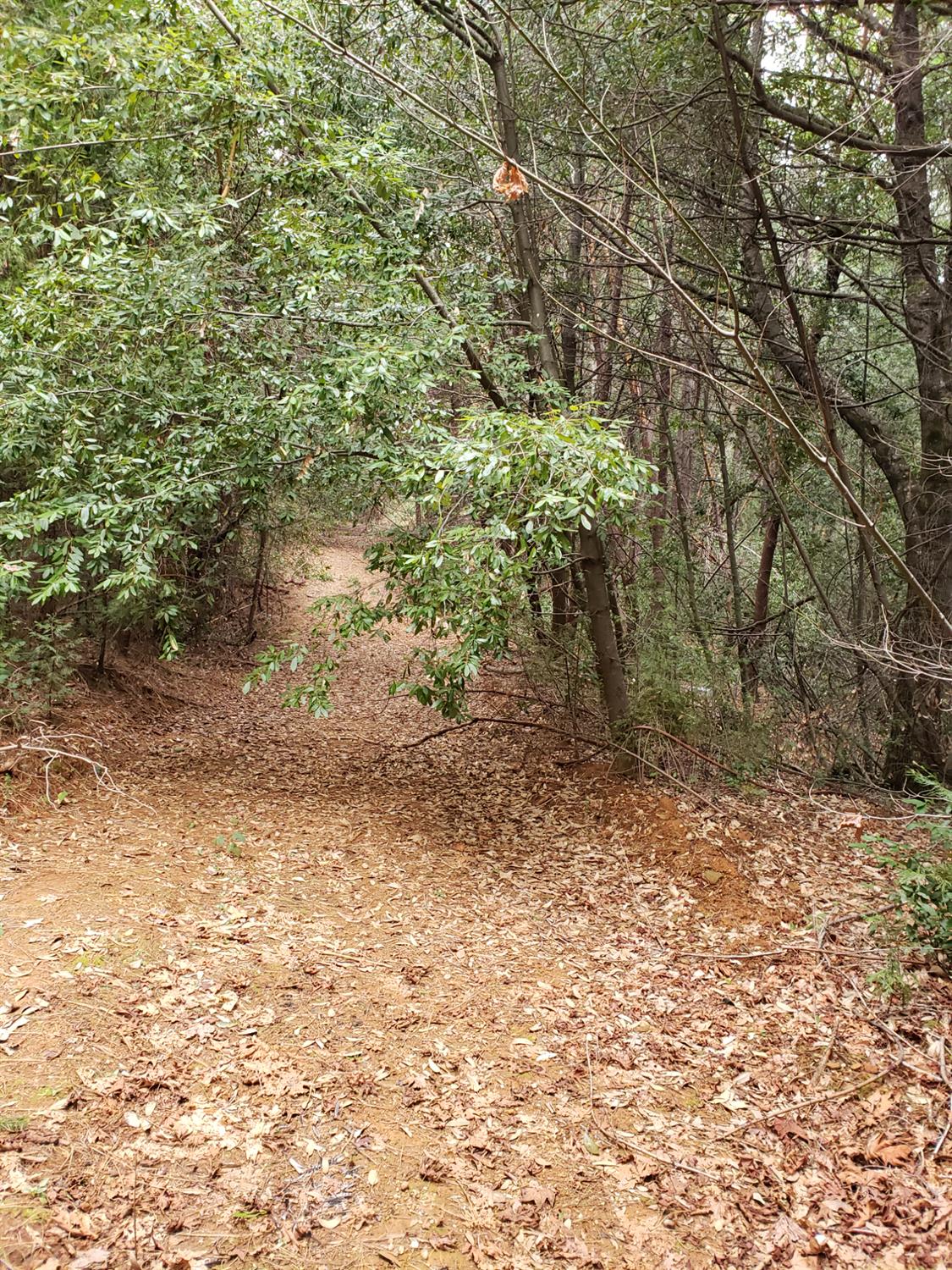 10012 La Porte Road Challenge, CA 95925 - Photo 3 of 12