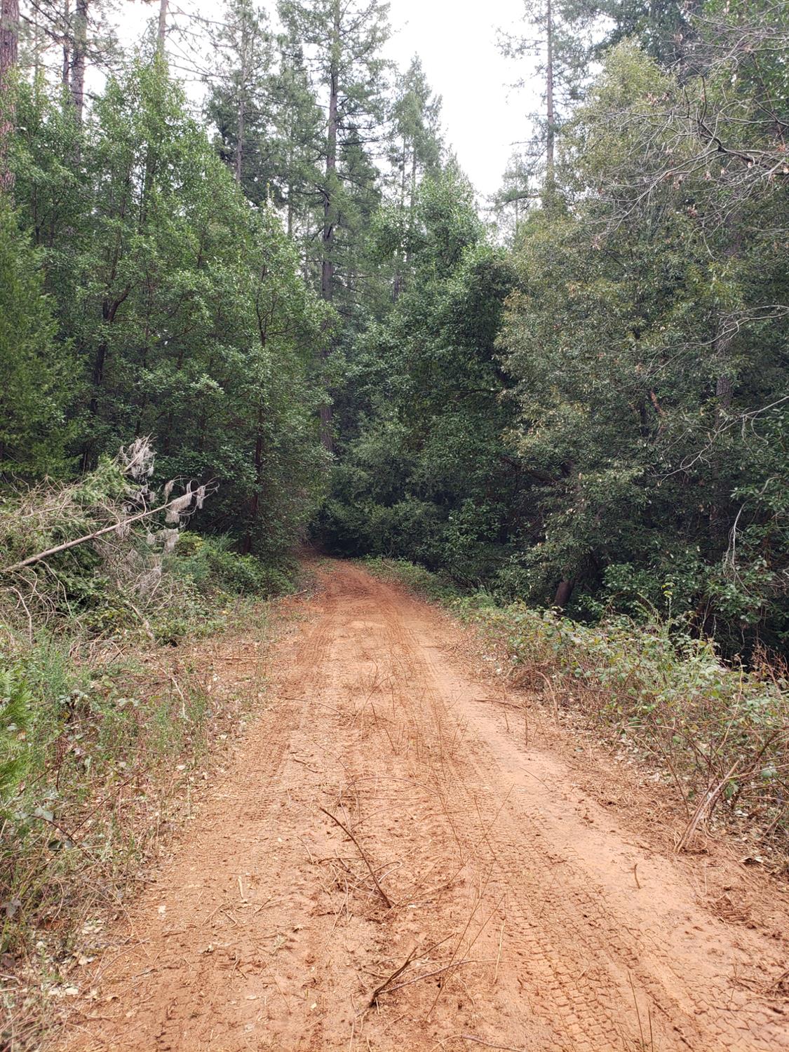 10012 La Porte Road Challenge, CA 95925 - Photo 10 of 12