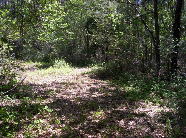 0 Ocean Road Holly Ridge, NC 28445 - Photo 5 of 10 Additional Photo