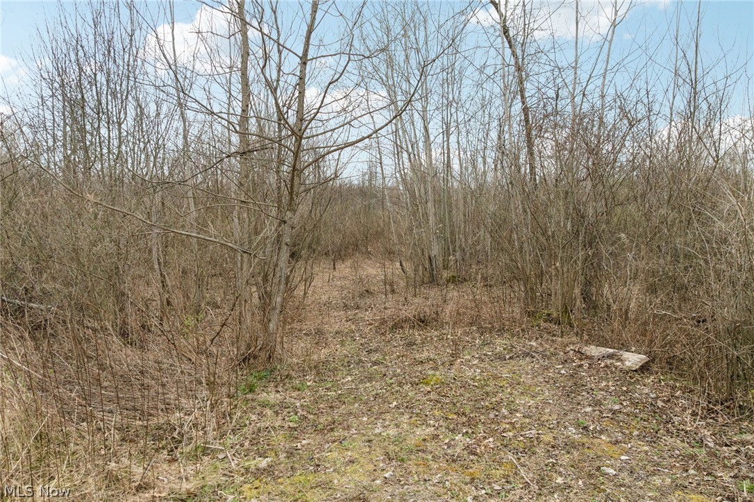 Center Road Lowellville, OH 44436 - Photo 2 of 28