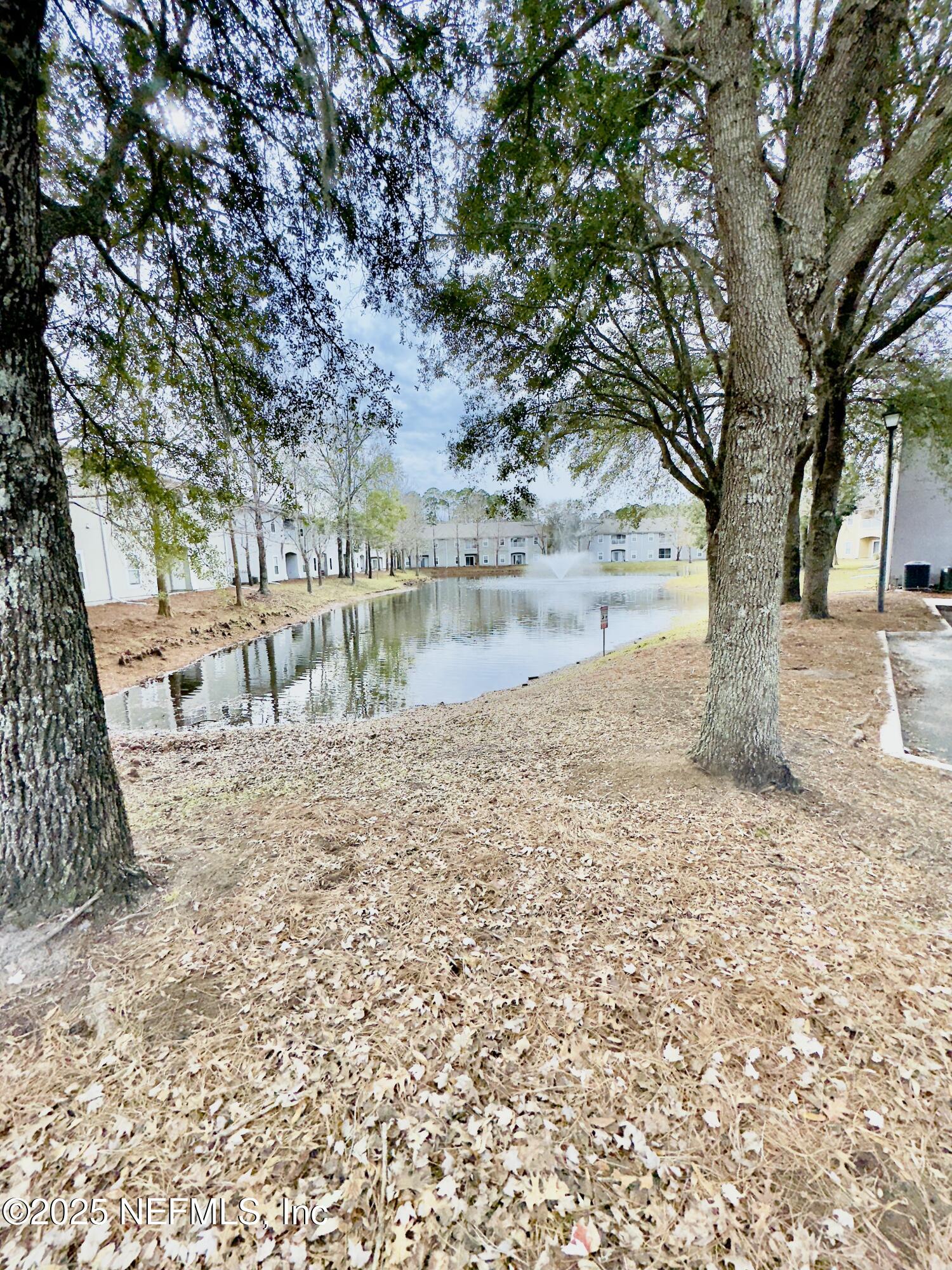 6057 Maggies Circle, Unit 114 Jacksonville, FL 32244 - Photo 24 of 28 a view of a yard with large trees