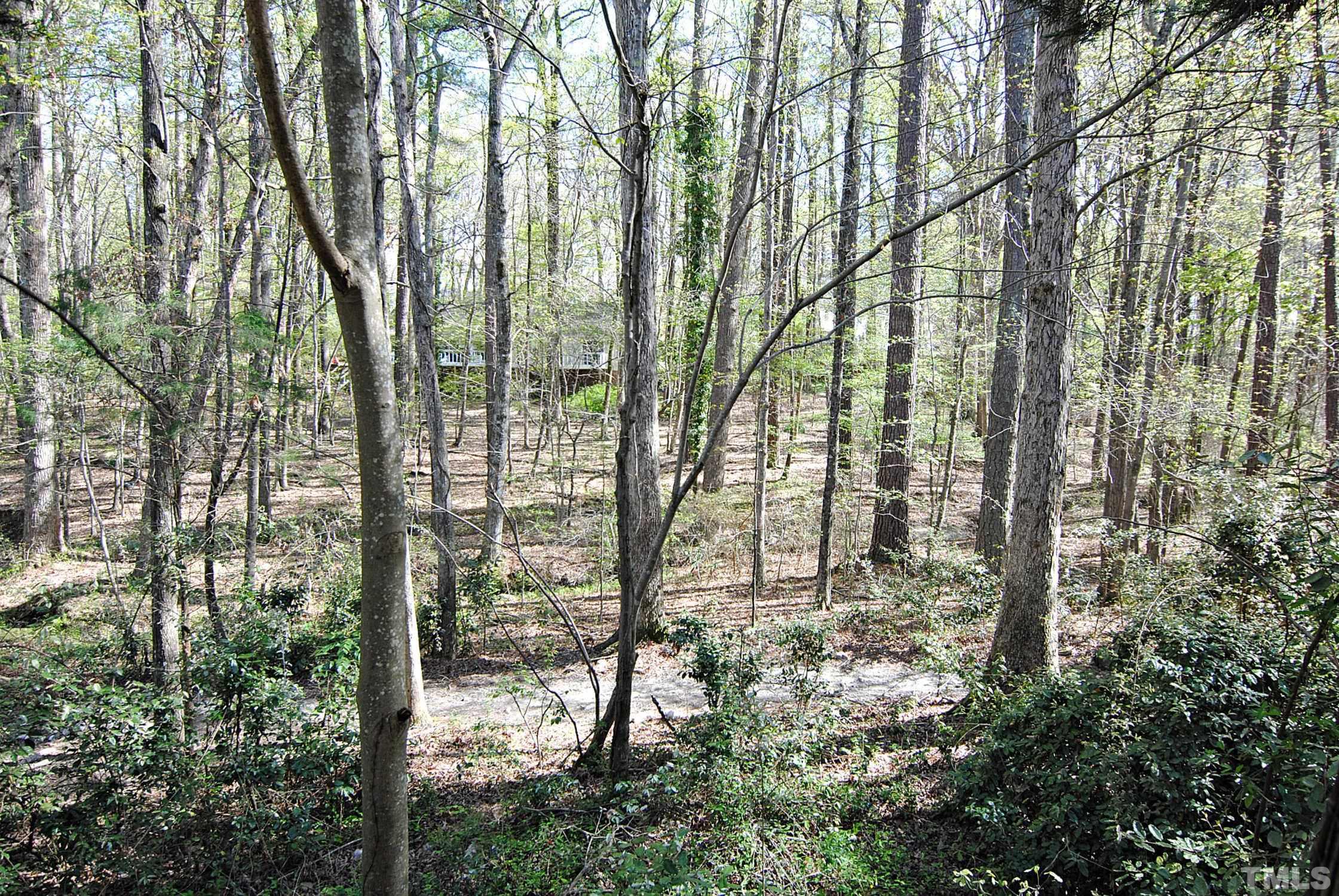13222 Ashford Park Drive Raleigh, NC 27613 - Photo 28 of 30 a view of forest