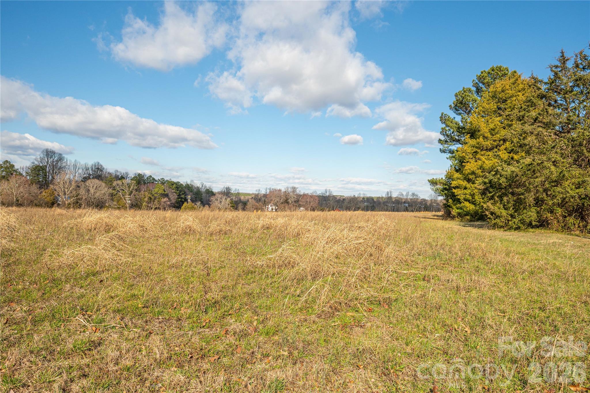 0 Cat Square Road, Unit 1 Lincolnton, NC 28092 - Photo 6 of 26