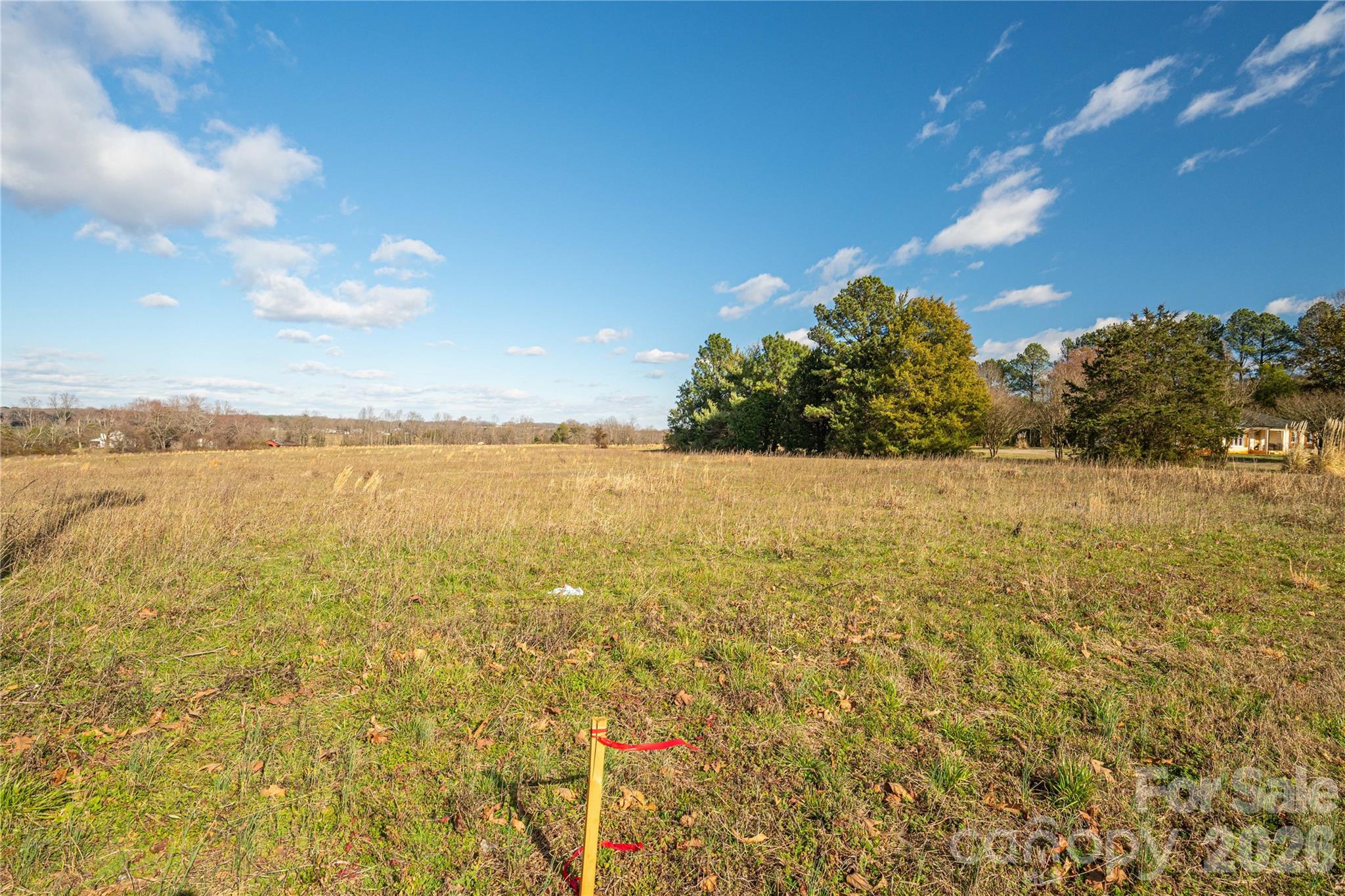 0 Cat Square Road, Unit 1 Lincolnton, NC 28092 - Photo 8 of 26