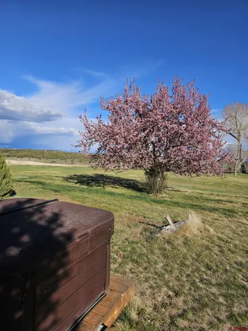 a view of a lake from a yard