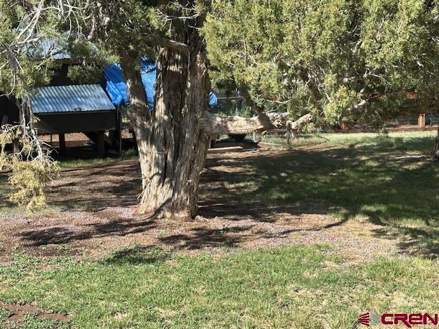 21330 Rd V.6 Lewis, CO 81327 - Photo 27 of 30 a view of a yard with plants and trees