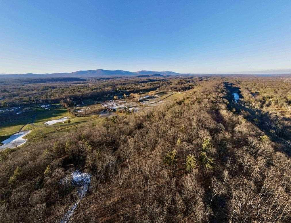 a view of a forest with mountains in the background