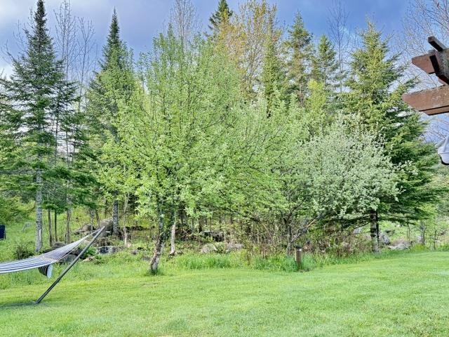 167 Leblanc Road Wheelock, VT 05842 - Photo 4 of 35
