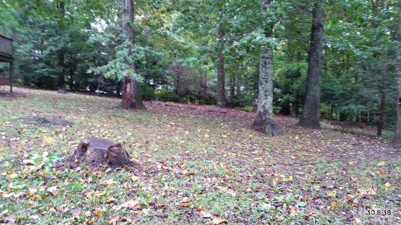 112 Ridge Drive Jefferson, NC 28640 - Photo 17 of 25 Gallery Image 17