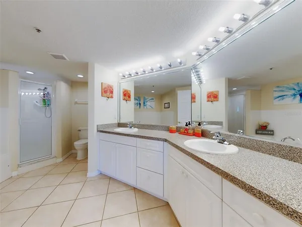 a aerial view of a house with a garden