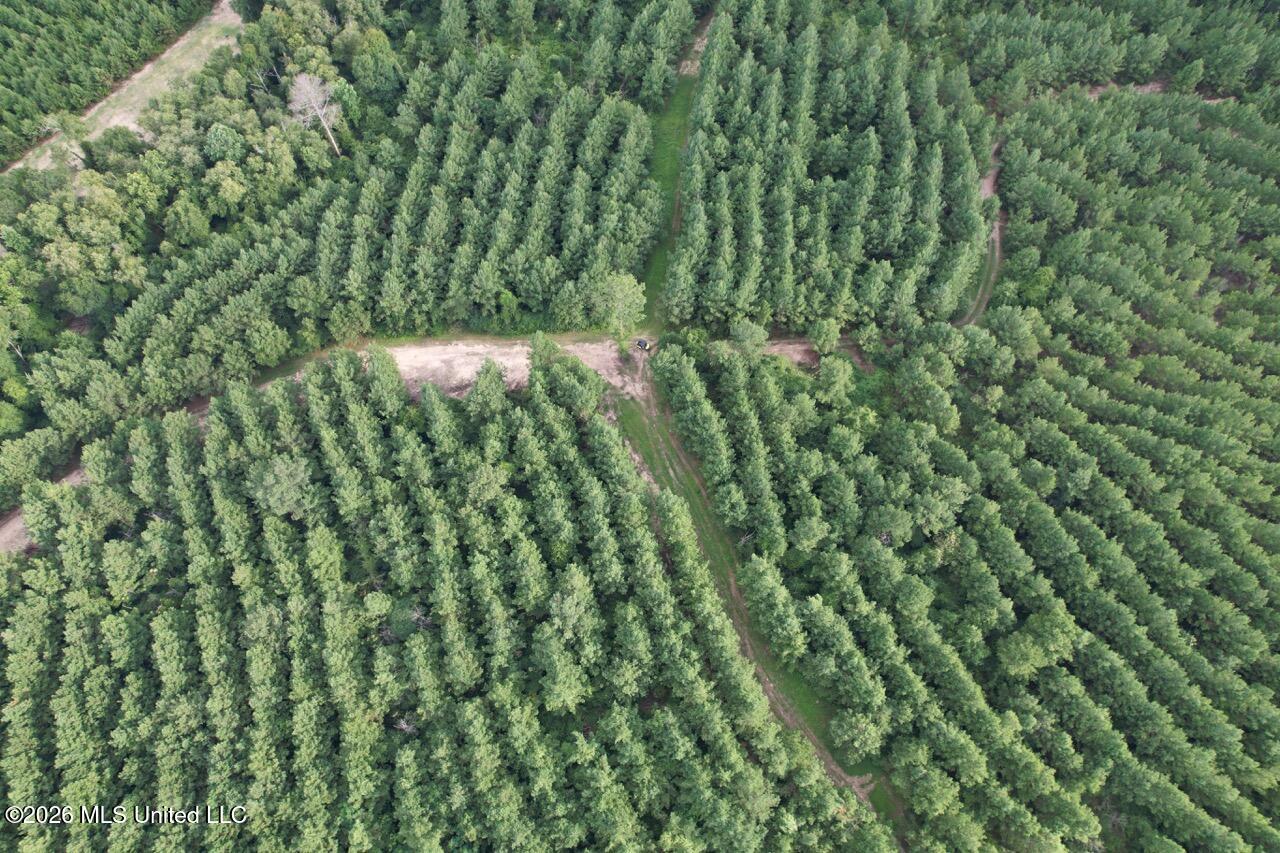 Old Oldenburg Road Meadville, MS 39653 - Photo 15 of 60 DJI_0773 Large