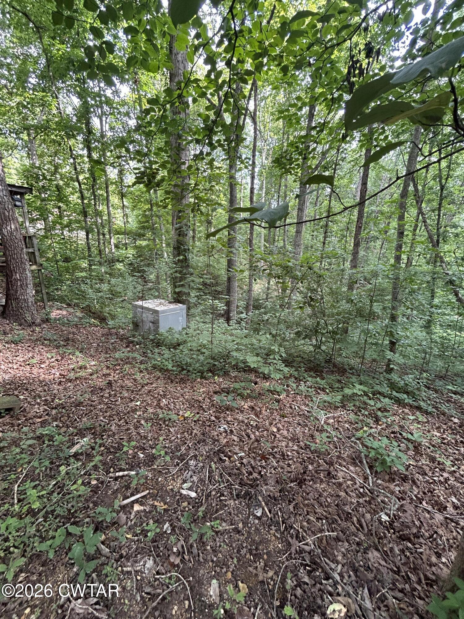 793 Ridgeway Drive Sugar Tree, TN 38380 - Photo 10 of 20 IMG_6768