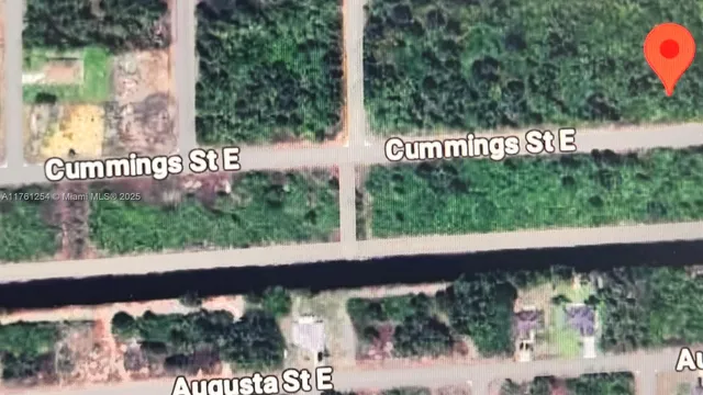 a view of a tree front of a park