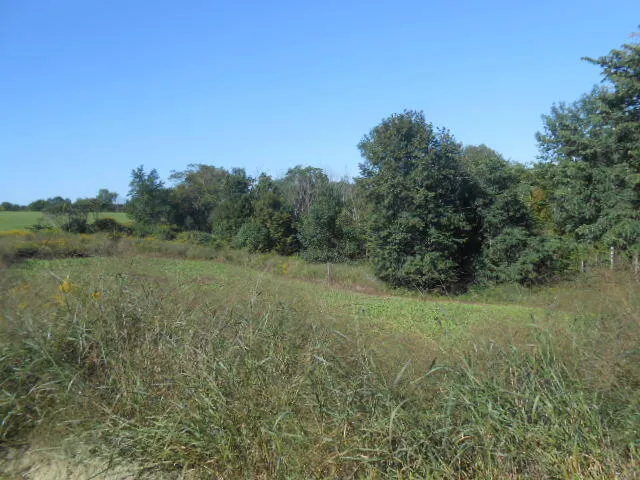 $112,999 | S4102 Elk Run Road, Webster, WI 54664