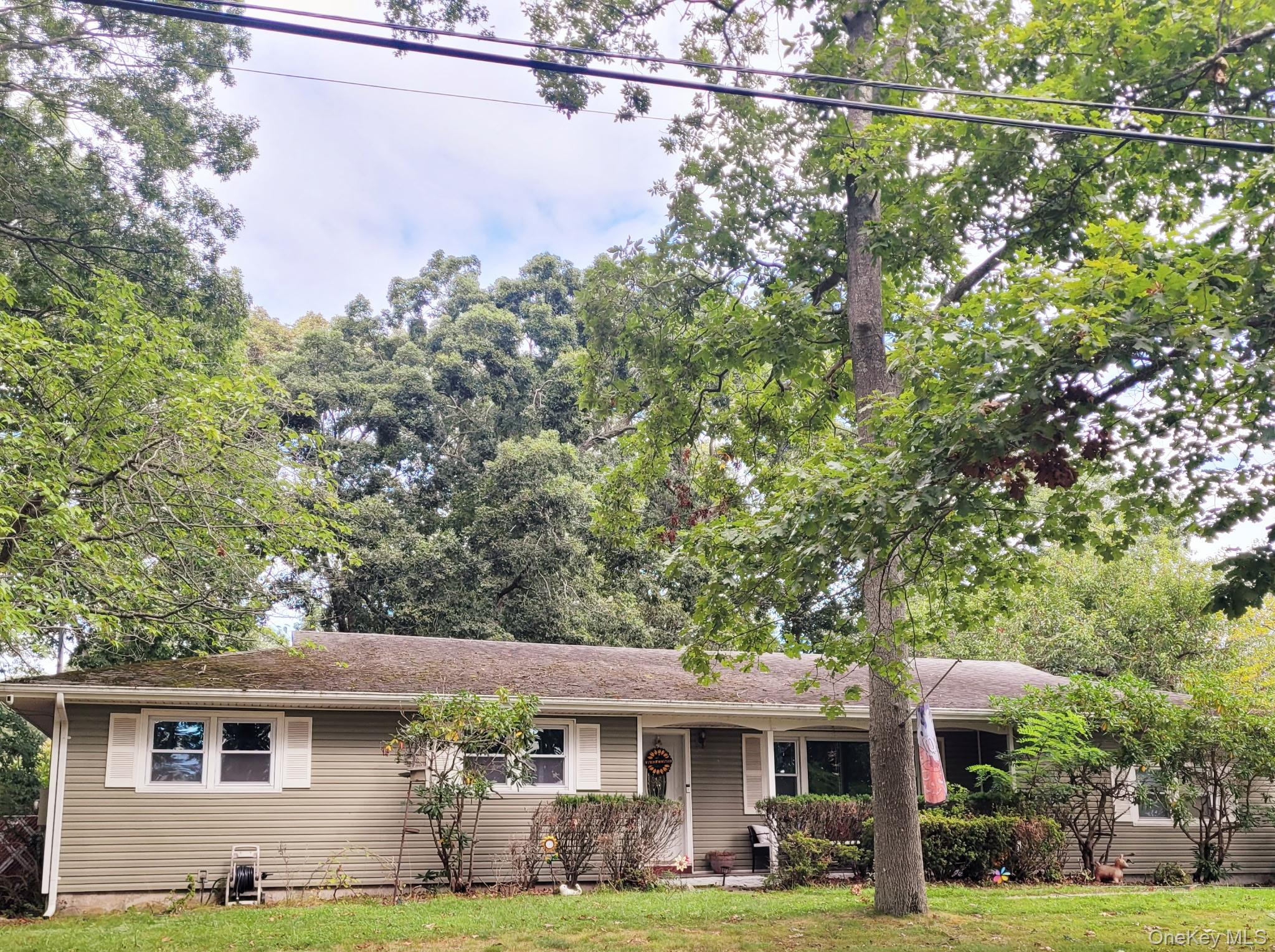 149 Otis Road Bellport, NY 11713 - Photo 2 of 2 Gallery Image 2