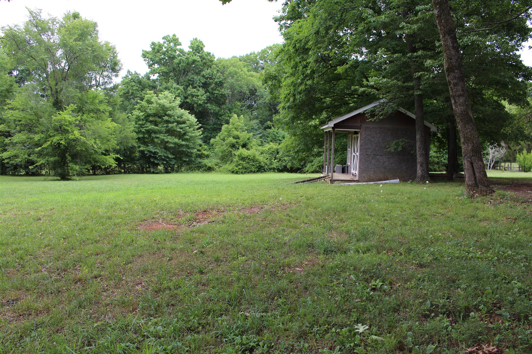 4239 Kedron Road Spring Hill, TN 37174 - Photo 2 of 5 a view of a tree in a yard with a house