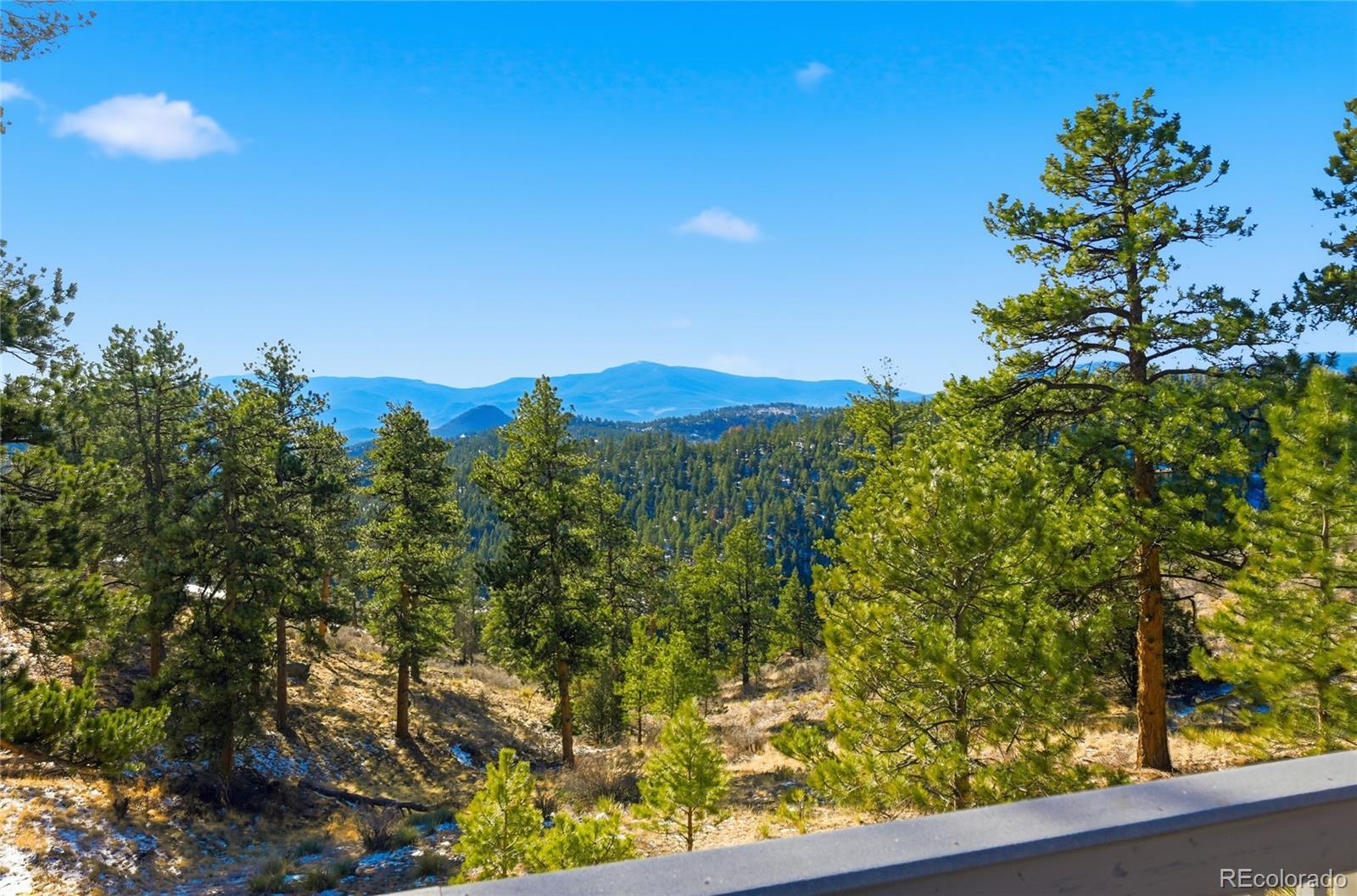 193 Long Ridge Drive Bailey, CO 80421 - Photo 38 of 43