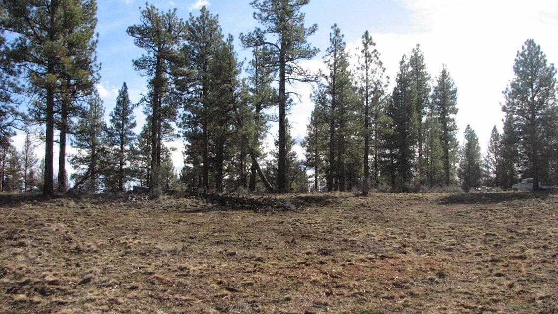 0 Canadian Honker Lane, Unit 9 Chiloquin, OR 97624 - Photo 1 of 11 20250526211938568394000000-o