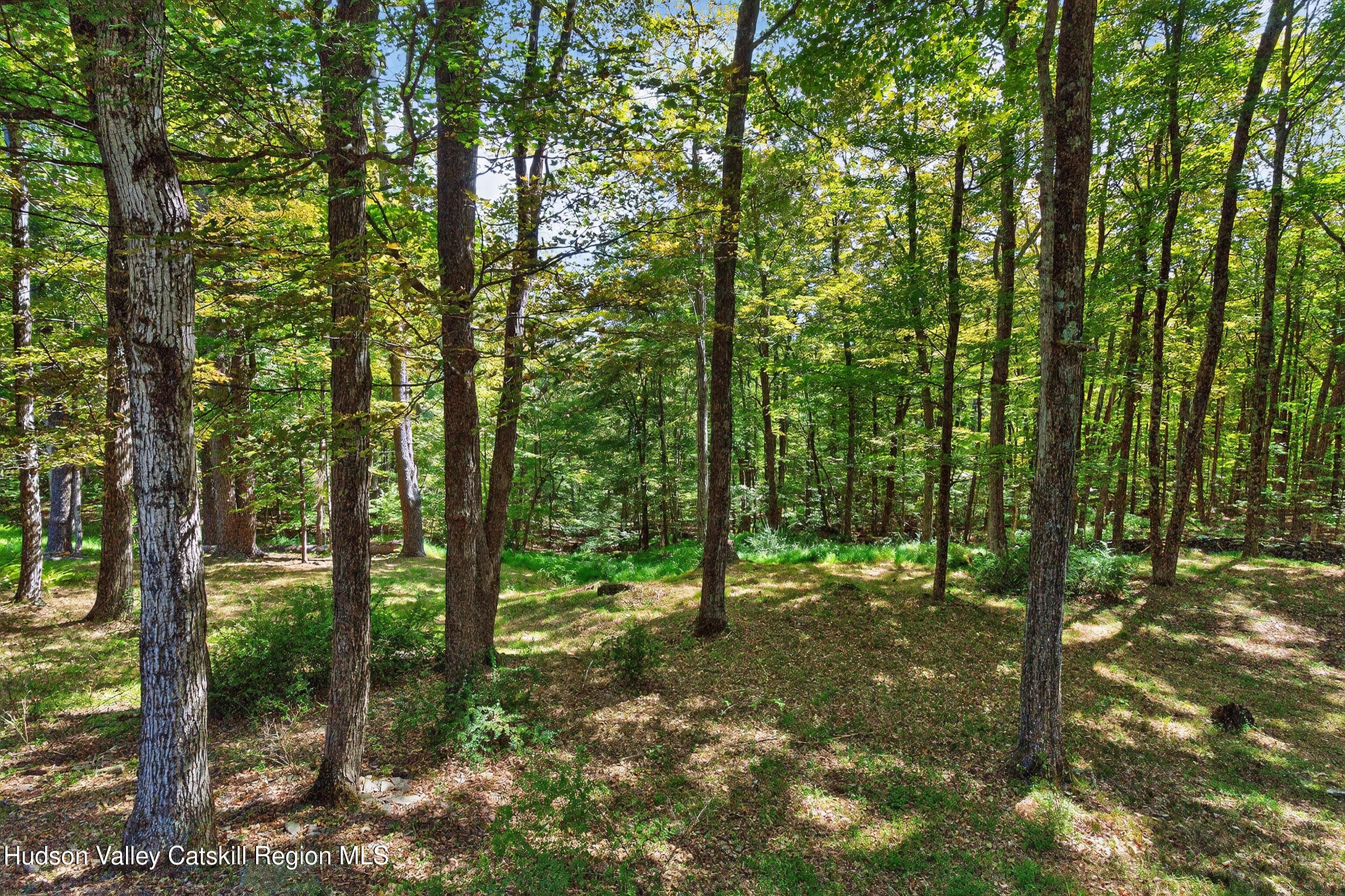 214 Doman Road Freehold, NY 12431 - Photo 46 of 54 30-print-214-doman-rd