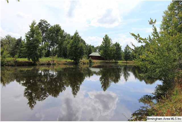 749 Dove Welch Road Wellington, AL 36279 - Photo 29 of 32