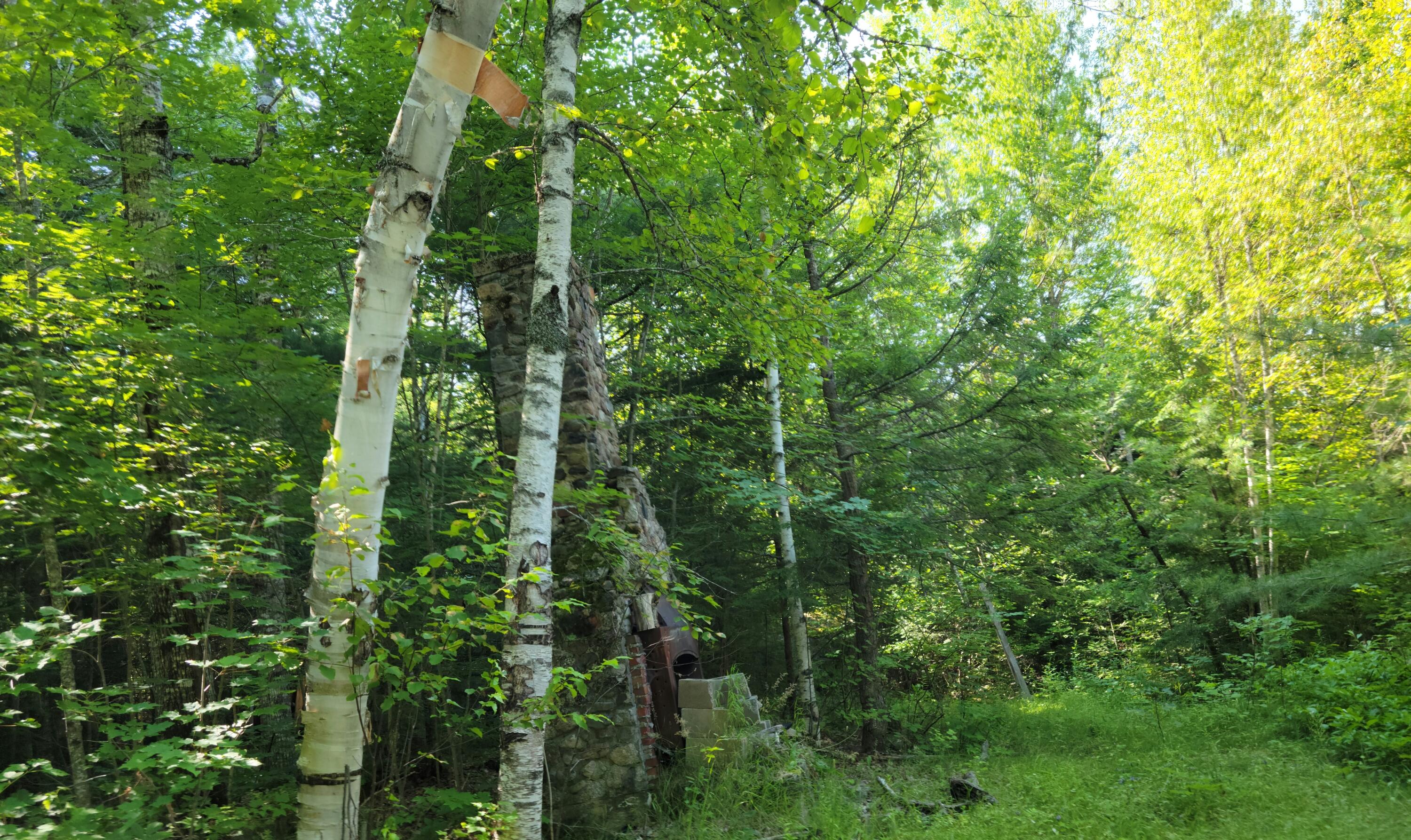 Tbd Tbd Grand Falls Milo, ME 04463 - Photo 4 of 5 20220718_092845