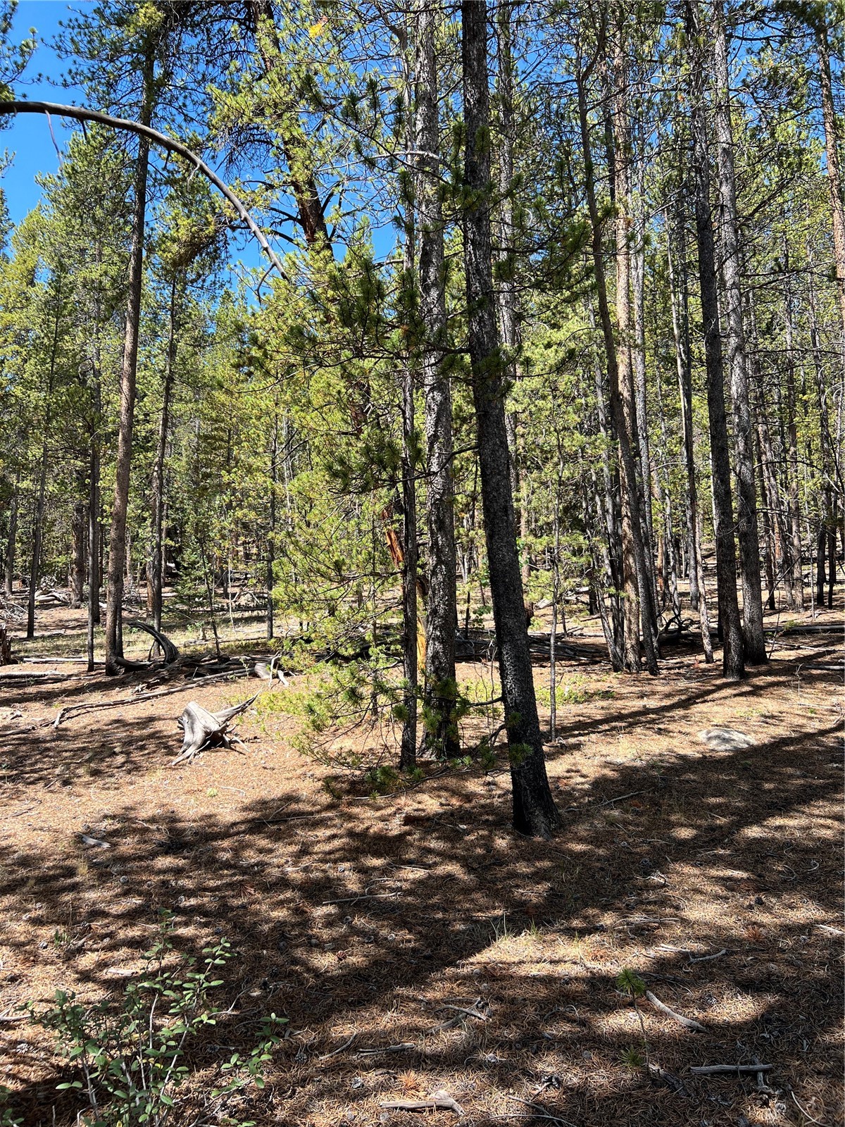 163 Co Road Fairplay, CO 80440 - Photo 11 of 12
