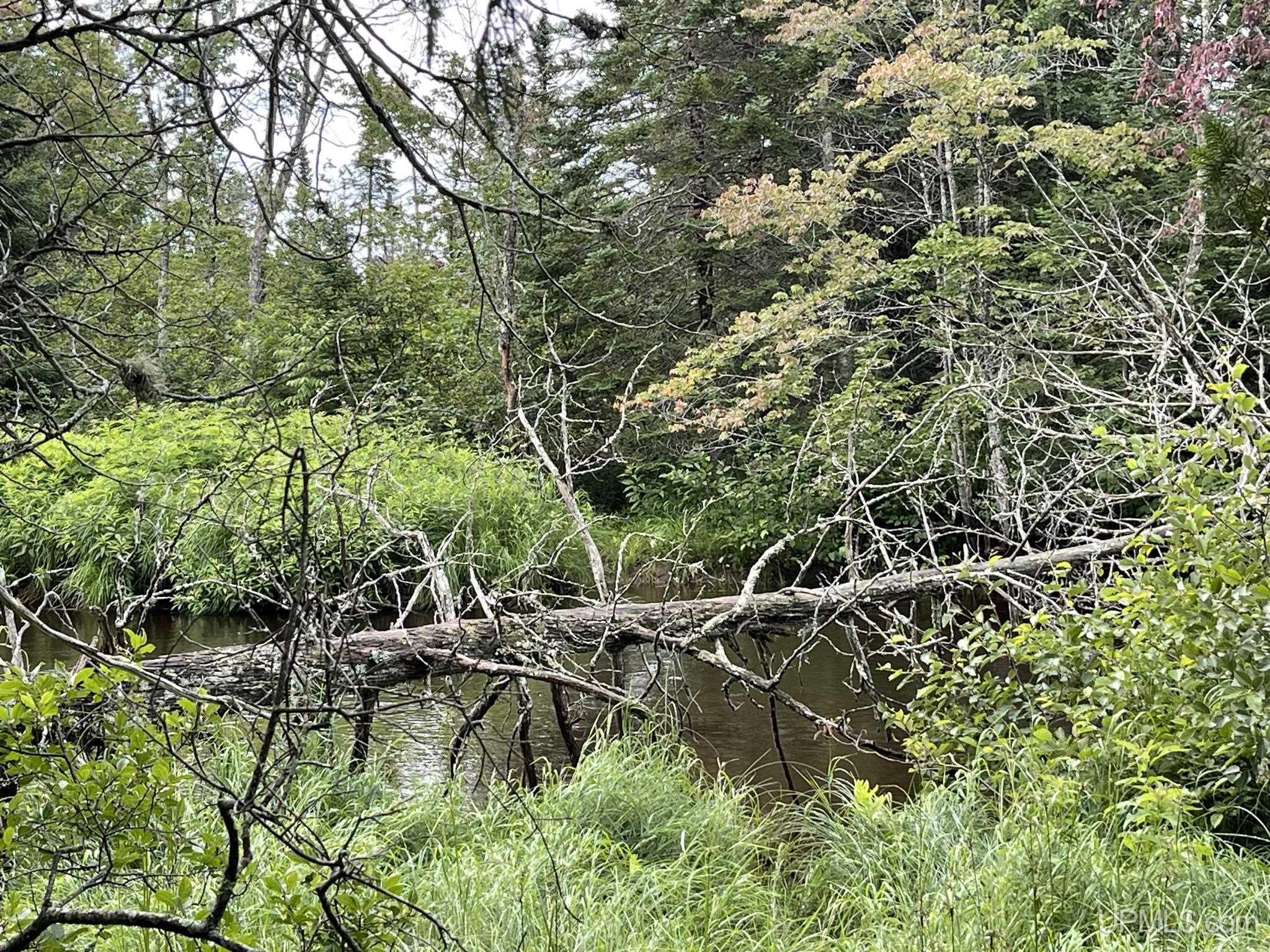 Tbd Tbd Hay Meadow Road Manistique, MI 49854 - Photo 12 of 51