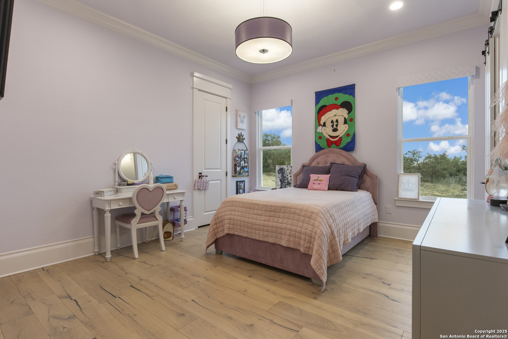 5971 Colin Ridge New Braunfels, TX 78132 - Photo 17 of 52 a bedroom with a bed and window