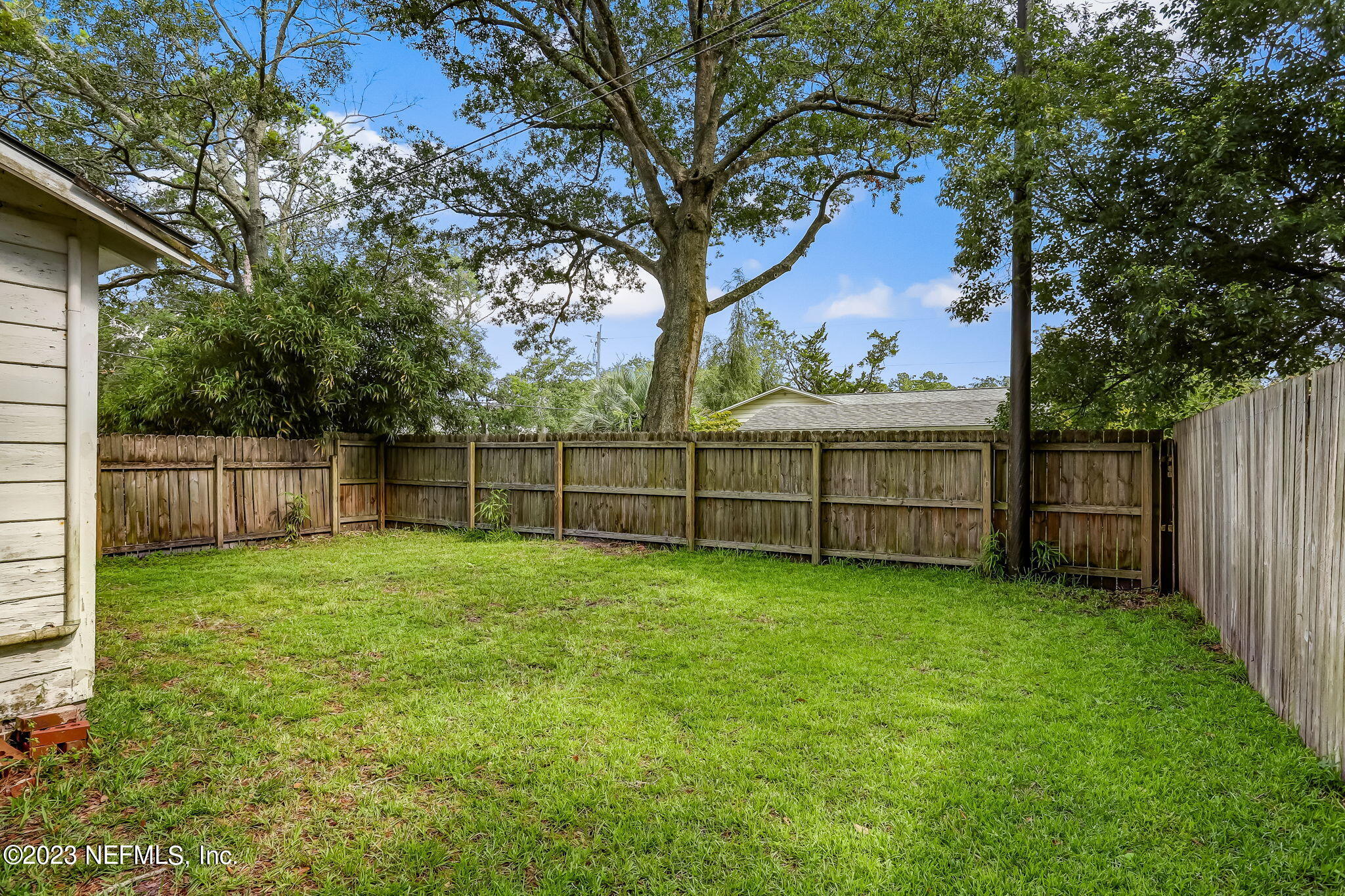 4375 Timuquana Road Jacksonville, FL 32210 - Photo 24 of 24 a view of a yard with wooden fence and a large tree