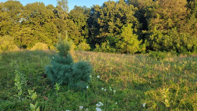 $300,000 | 44702 56th Avenue, Paw Paw, MI 49079