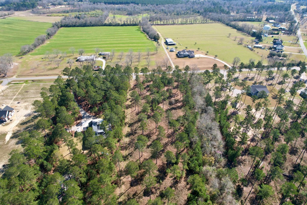 0 Ben Ivey Road Webb, AL 36376 - Photo 7 of 7