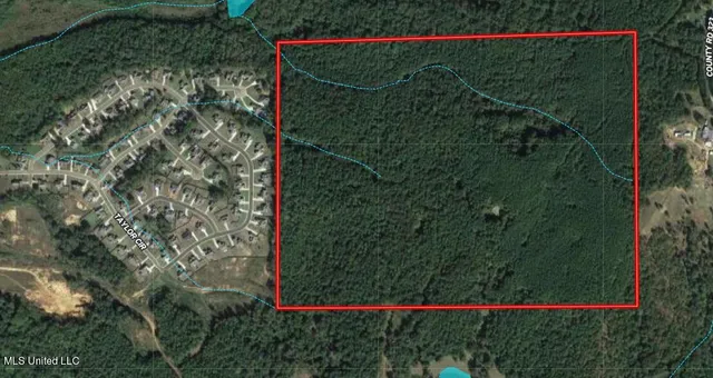 $718,935 | Taylor Rd Road, Taylor, MS 38673
