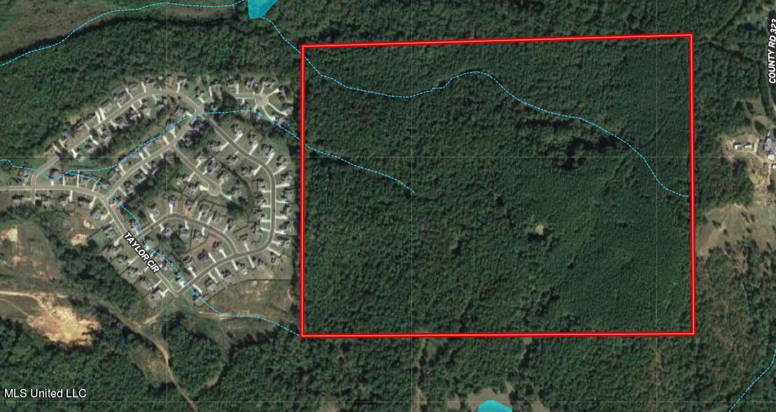 Taylor Rd Road Taylor, MS 38673 - Photo 3 of 8 Screenshot 2023-06-13 214627