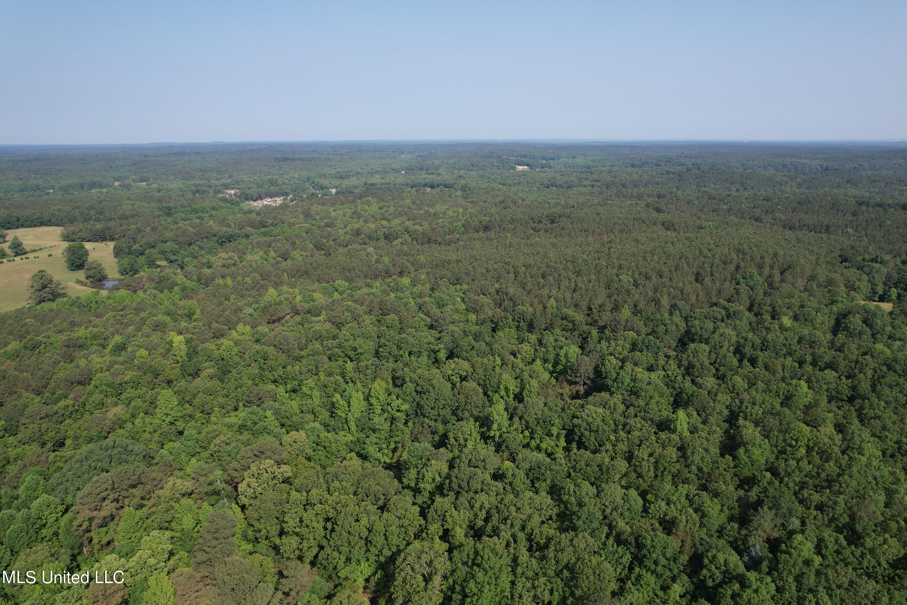 Taylor Rd Road Taylor, MS 38673 - Photo 5 of 8 DJI_0213