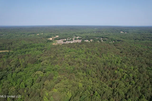 $718,935 | Taylor Rd Road, Taylor, MS 38673