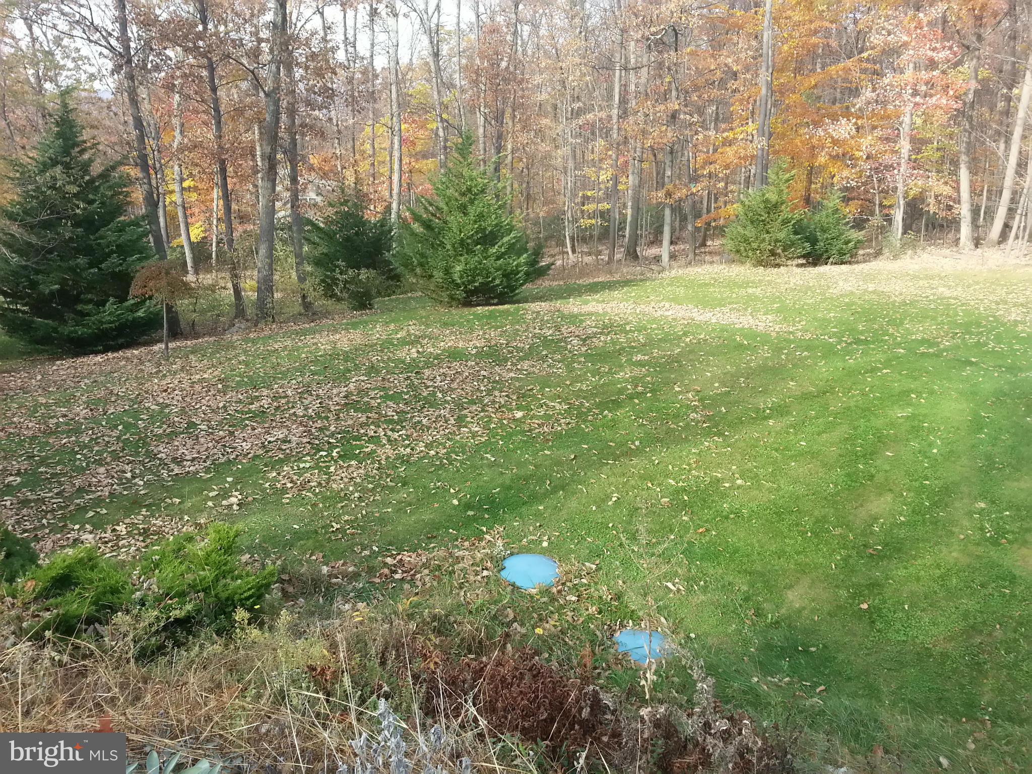 25307 Highfield Road Cascade, MD 21719 - Photo 15 of 16 a view of a field with trees in the background