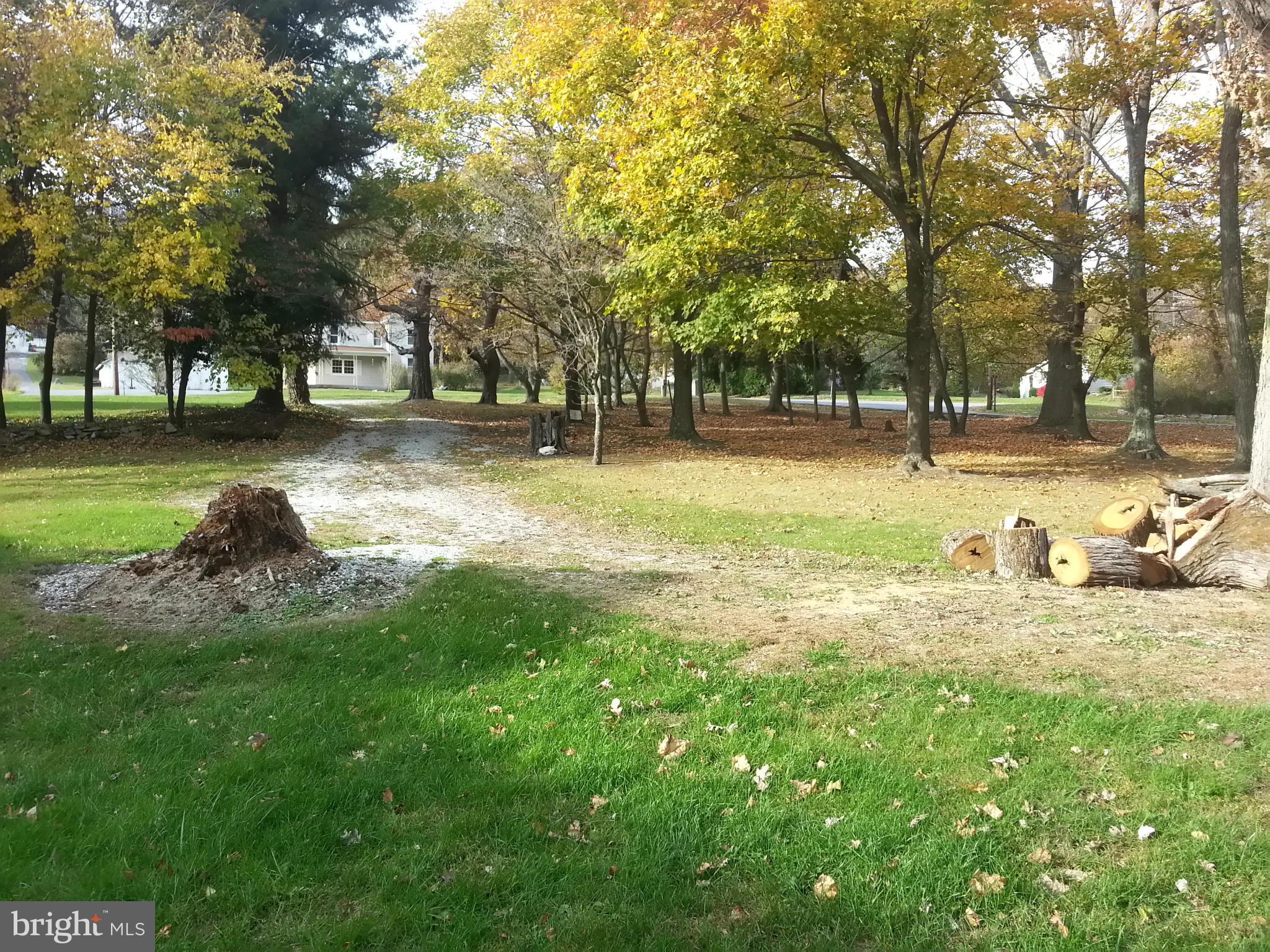25307 Highfield Road Cascade, MD 21719 - Photo 16 of 16 a backyard of a house with lots of green space and fountain
