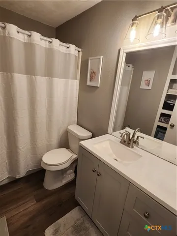 a bathroom with a sink a toilet and shower curtain