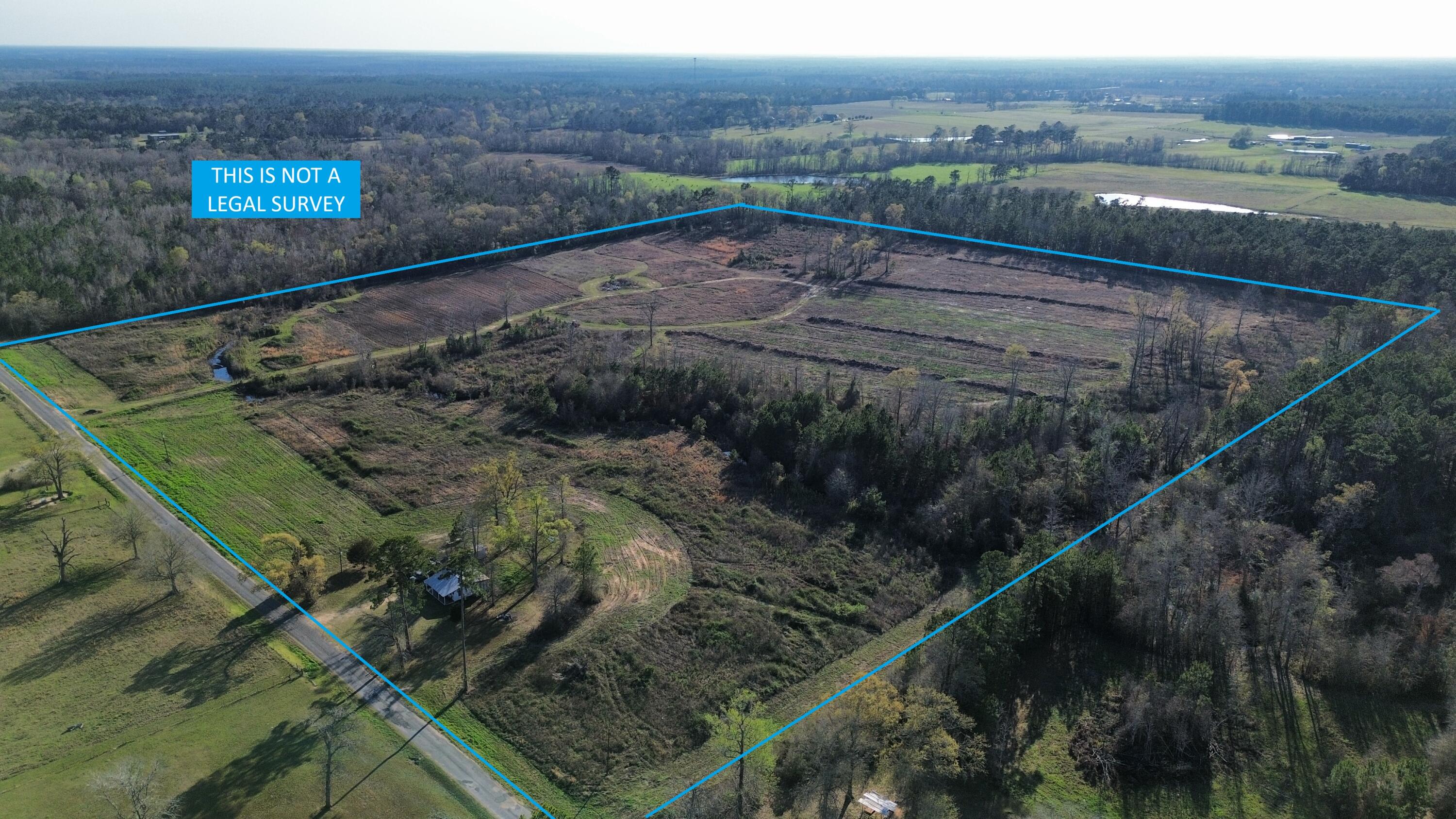 471 Farley Green Road Deridder, LA 70634 - Photo 4 of 16 Gallery Image 4