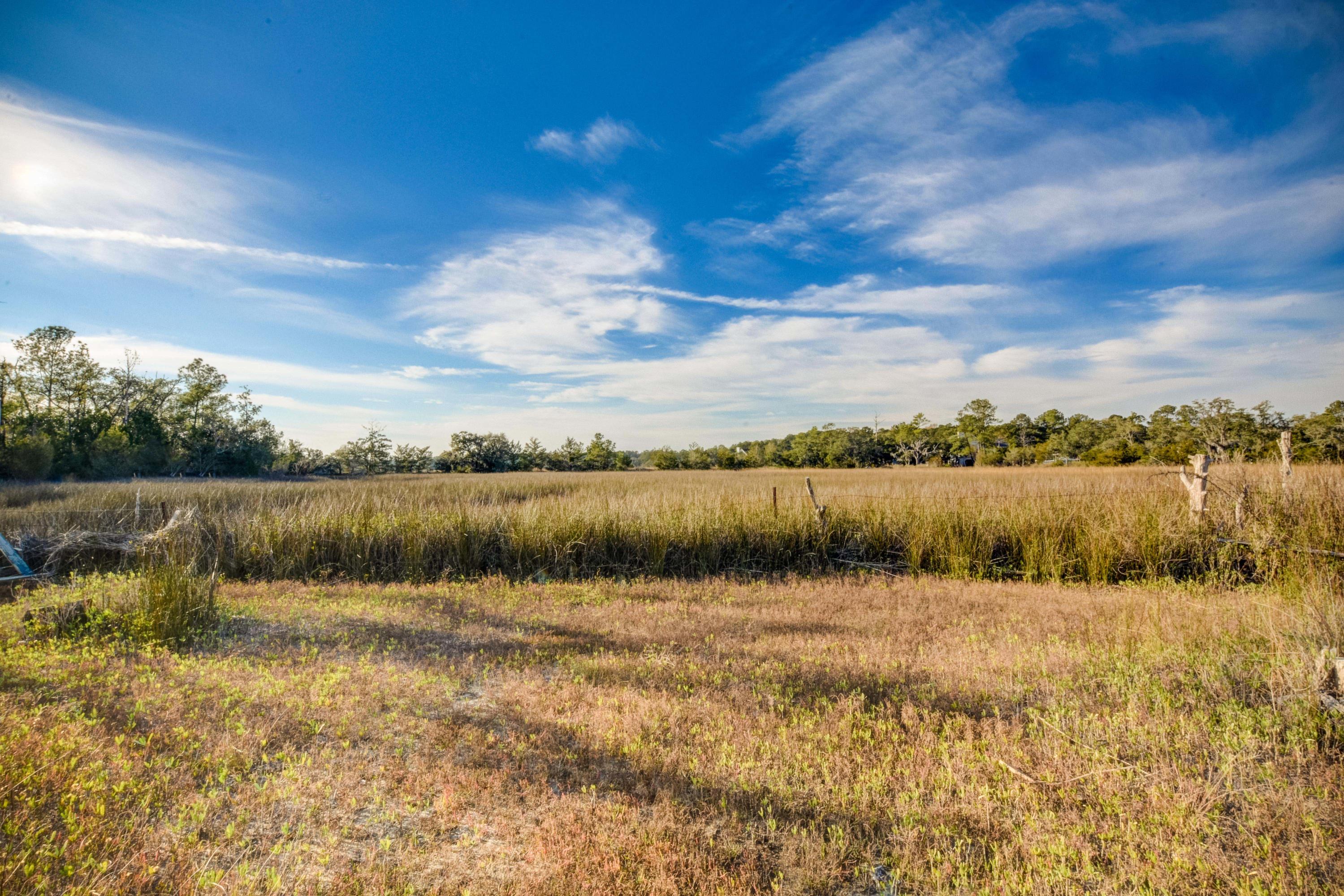 4695 Wilson Road Hollywood, SC 29449 - Photo 11 of 49 1-10