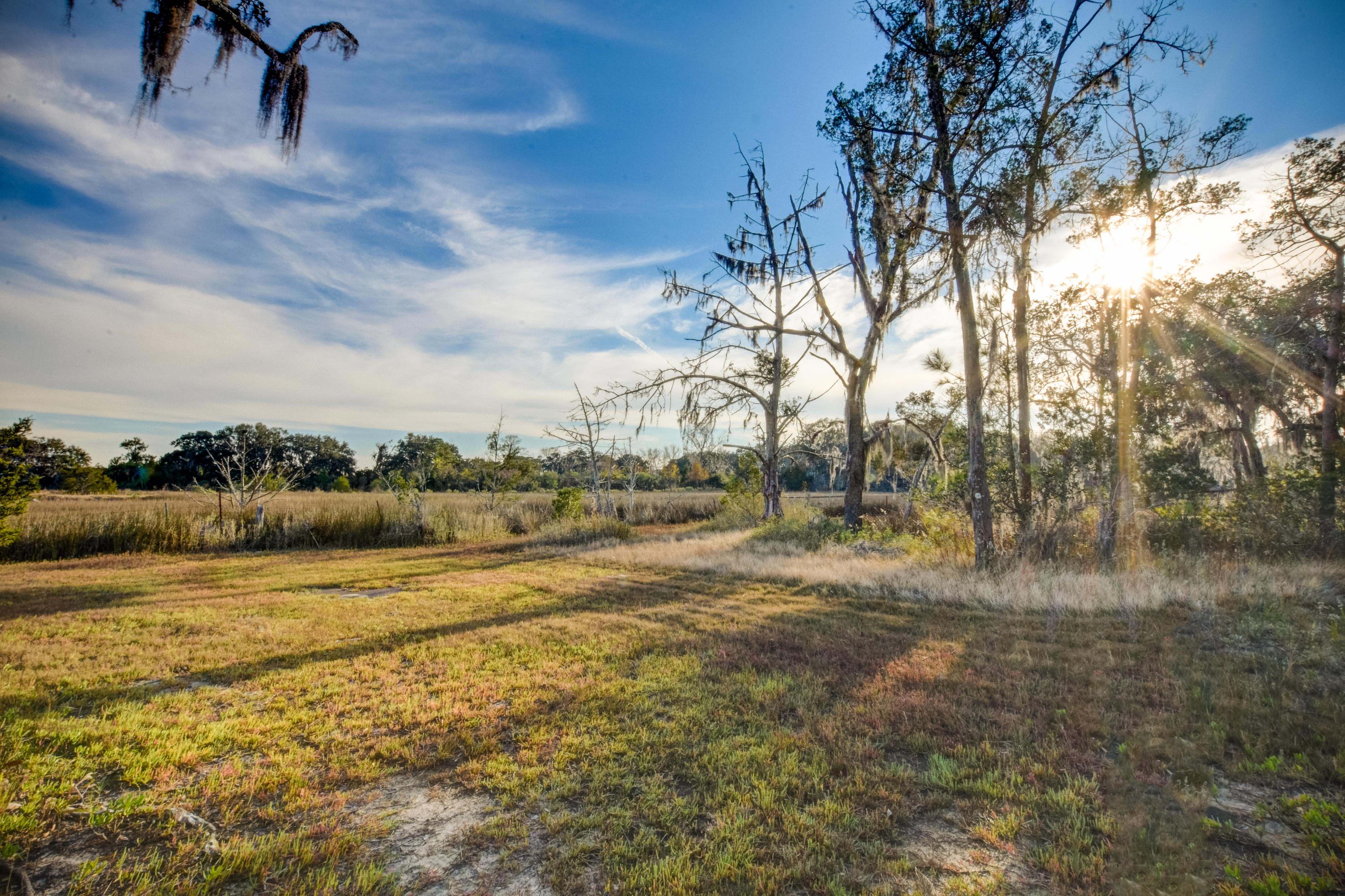 4695 Wilson Road Hollywood, SC 29449 - Photo 17 of 49 1-17