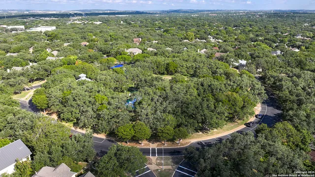a view of a lush green forest with lots of trees