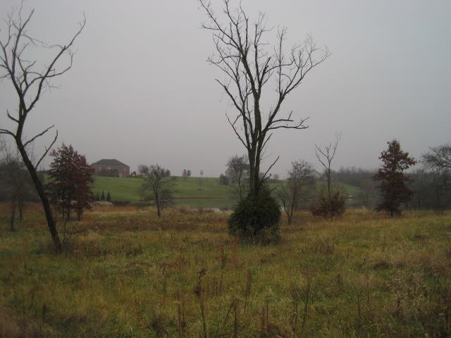 9433 New Harmony Road Elberfeld, IN 47613 - Photo 3 of 11