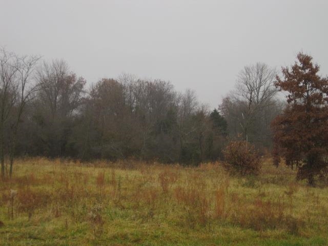 9433 New Harmony Road Elberfeld, IN 47613 - Photo 8 of 11