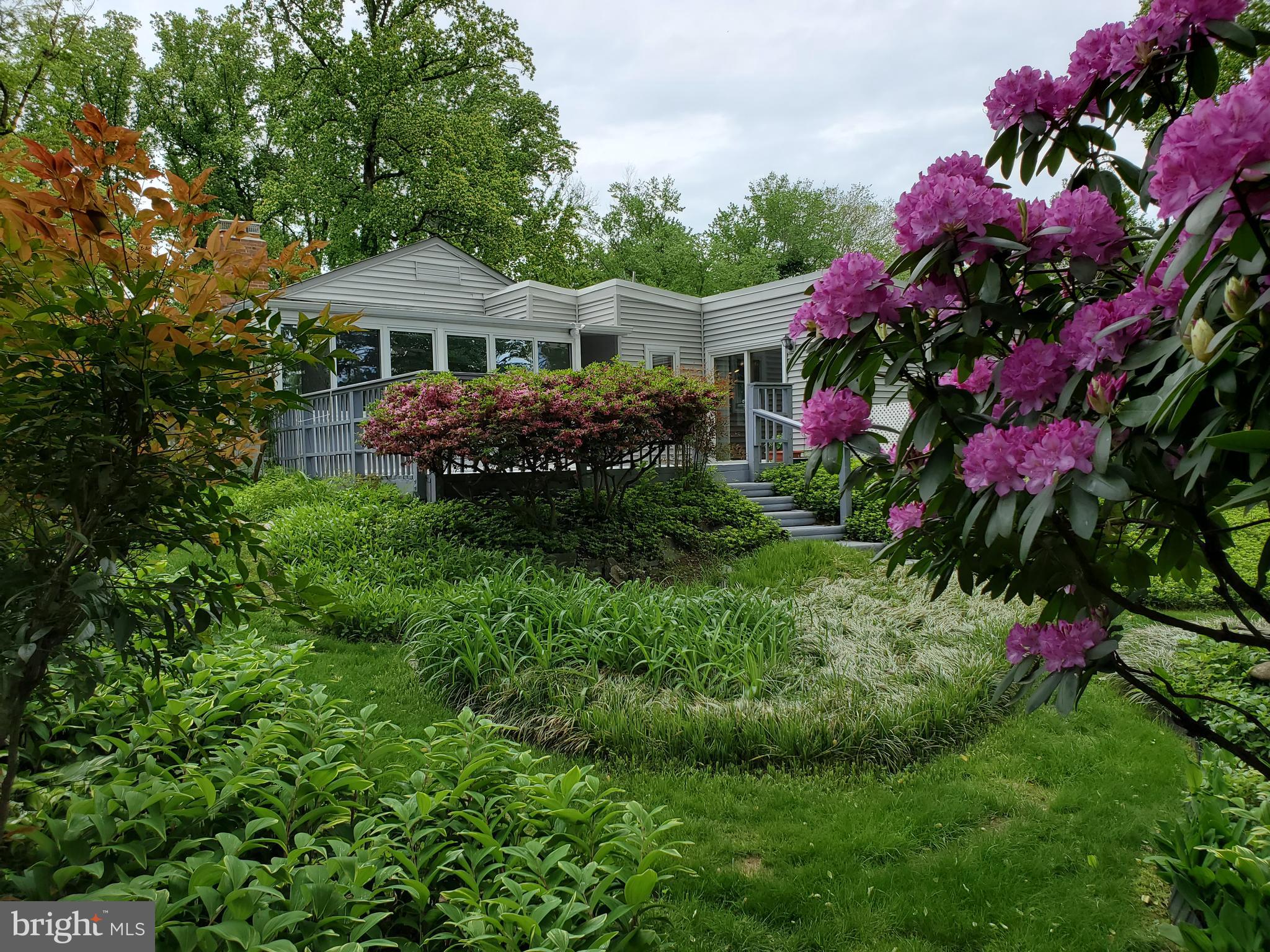 7129 Alger Road Falls Church, VA 22042 - Photo 1 of 22 7129 Alger Rd backyard is a private oasis