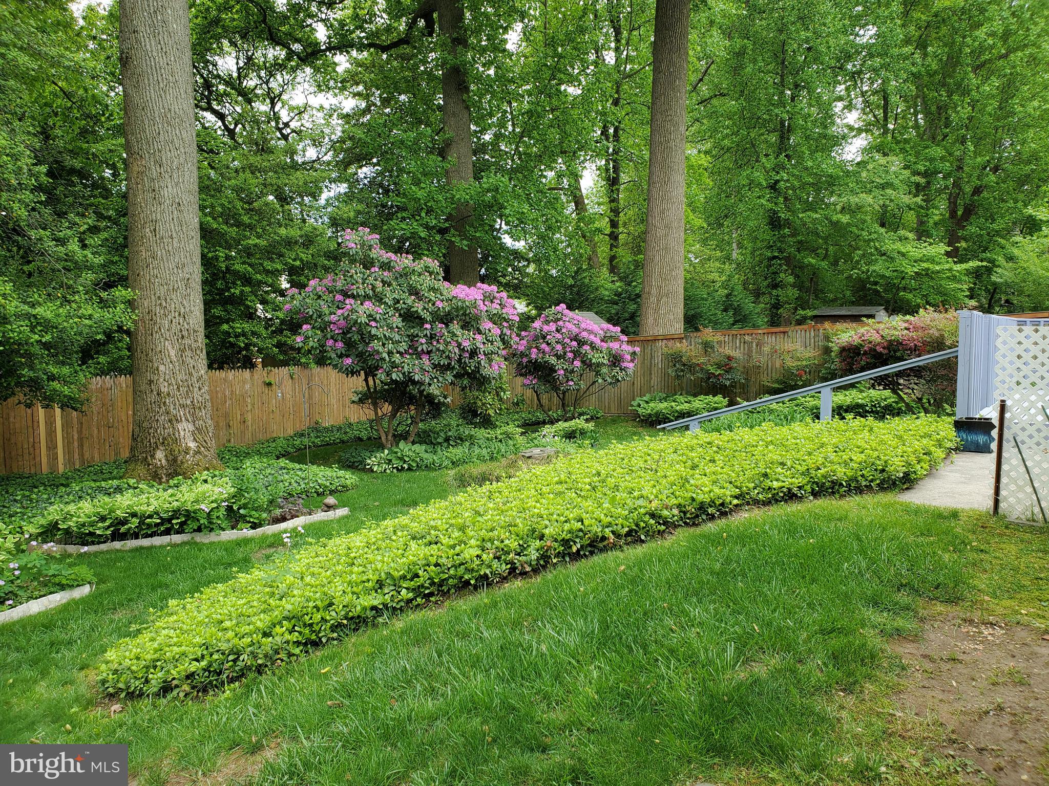 7129 Alger Road Falls Church, VA 22042 - Photo 18 of 22 Backyard