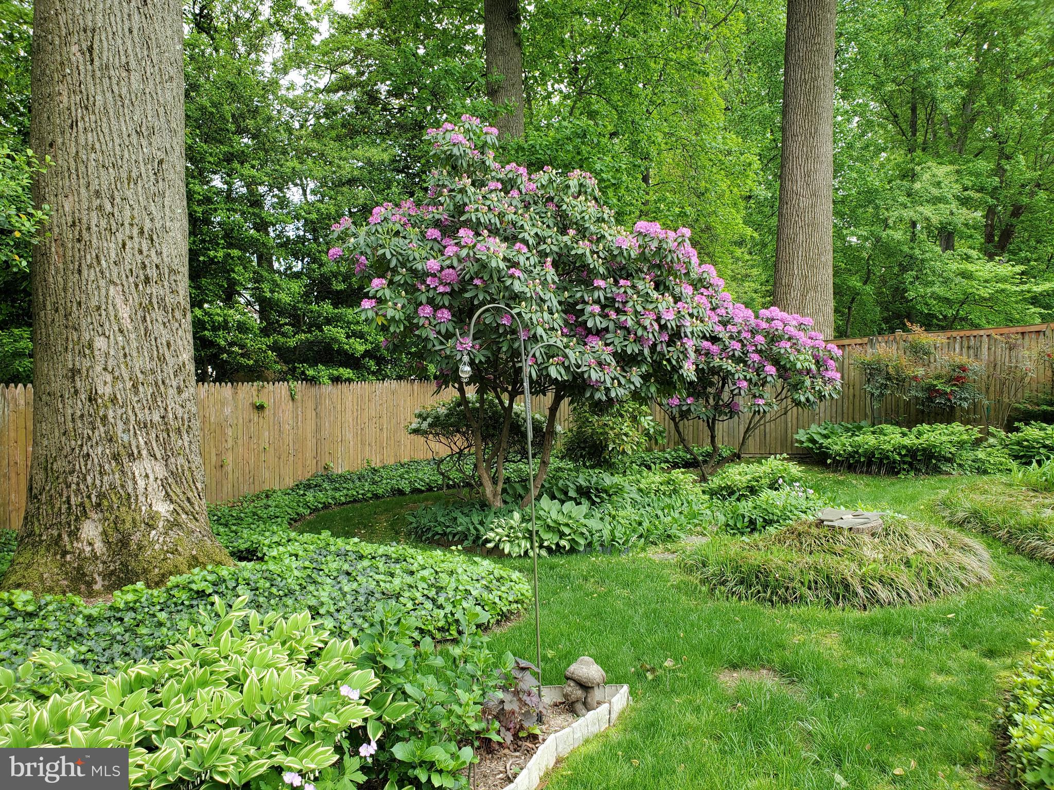 7129 Alger Road Falls Church, VA 22042 - Photo 19 of 22 Backyard with Storage Shed